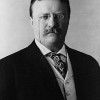 26. Theodore Roosevelt, l’amministratore del popolo