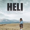 “Heli”: a Cannes brilla l’astro nascente del cinema messicano, Amat Escalante