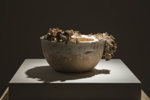 The Future of Plastic ©Officina Corpuscolu  Maurizio Montalti- mycelium fruiting bowl exhibition 2