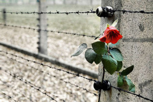 Articolo #6 - Il ricordo della Shoah nella giornata della  memoria